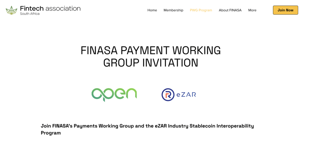 FINASA PAYMENT WORKING GROUP
