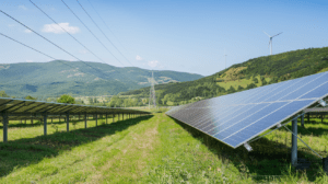 Environmental Responsibility